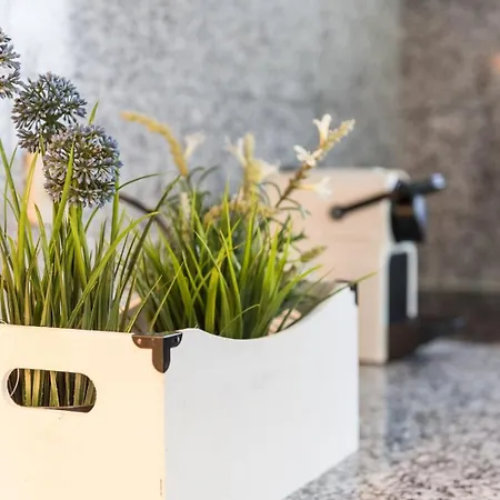 Guestready - Parrot In The Lilies Esposende