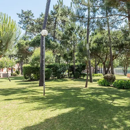 Guestready - Parrot In The Lilies Guest house Esposende