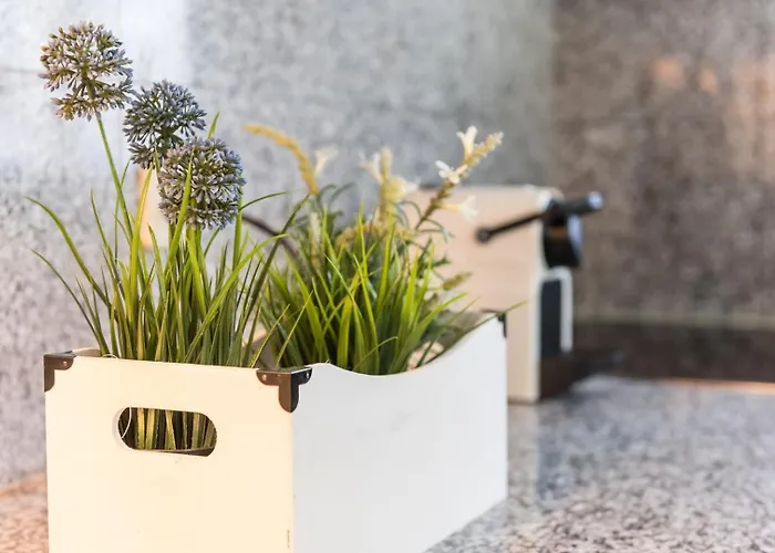 Guestready - Parrot In The Lilies Esposende